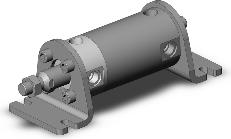 SMC NCGLN50-0100