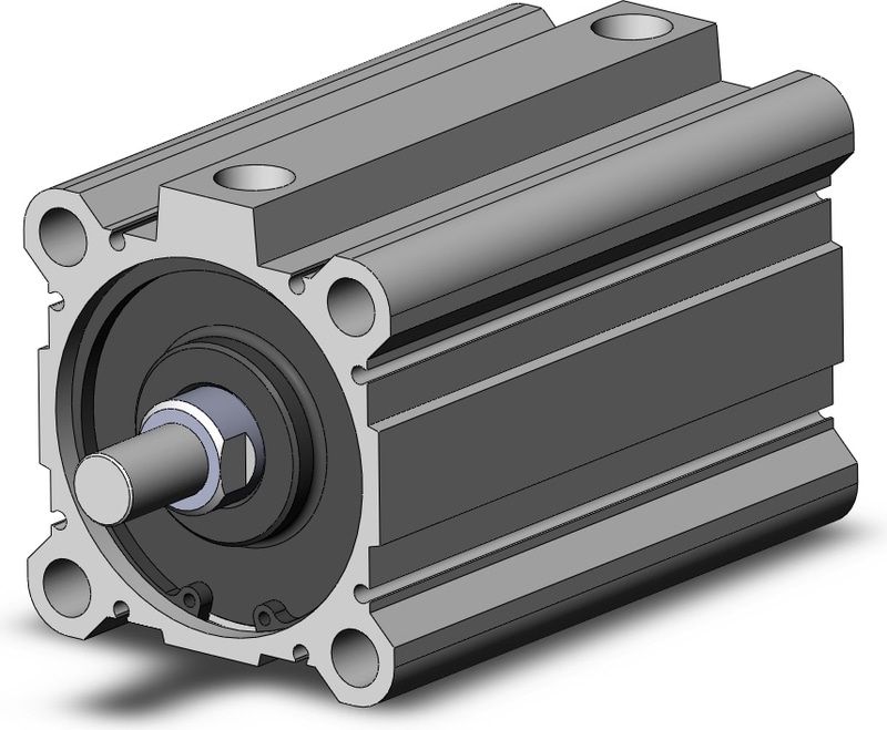 SMC NCQ2A80-100DMZ-XC6