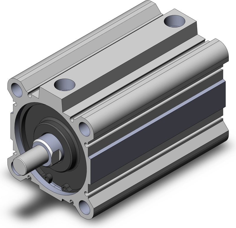 SMC NCQ2A80-100DMZ