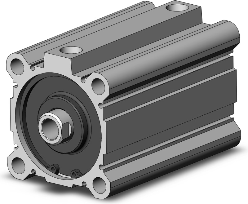 SMC NCQ2A80-100DZ-XC6