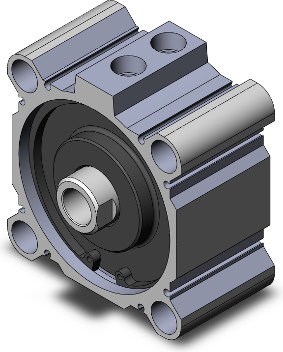 SMC NCQ2B100-10DZ
