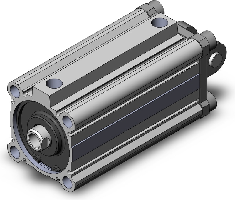SMC NCQ2D63-100DZ