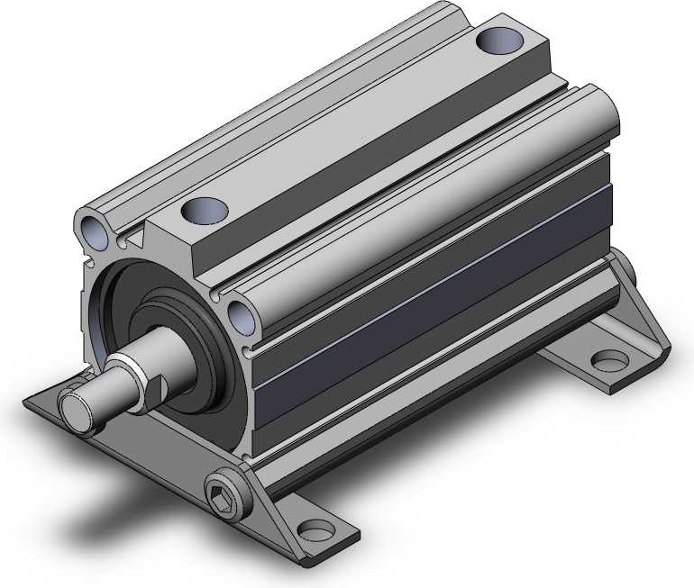 SMC NCQ2L63-100DMZ
