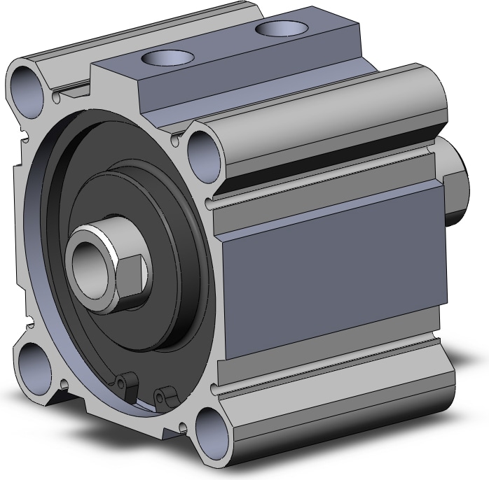 SMC NCQ2WB100-30DZ