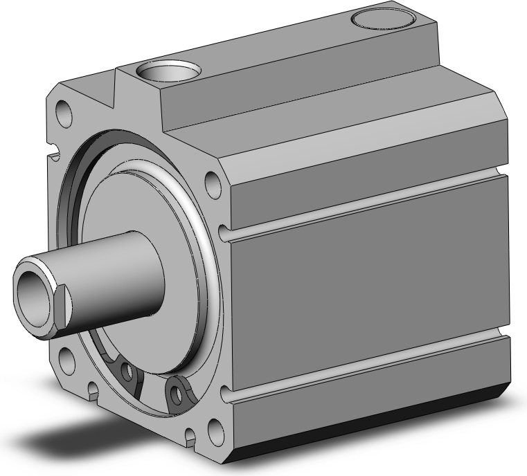 SMC NCQ8A250-100T