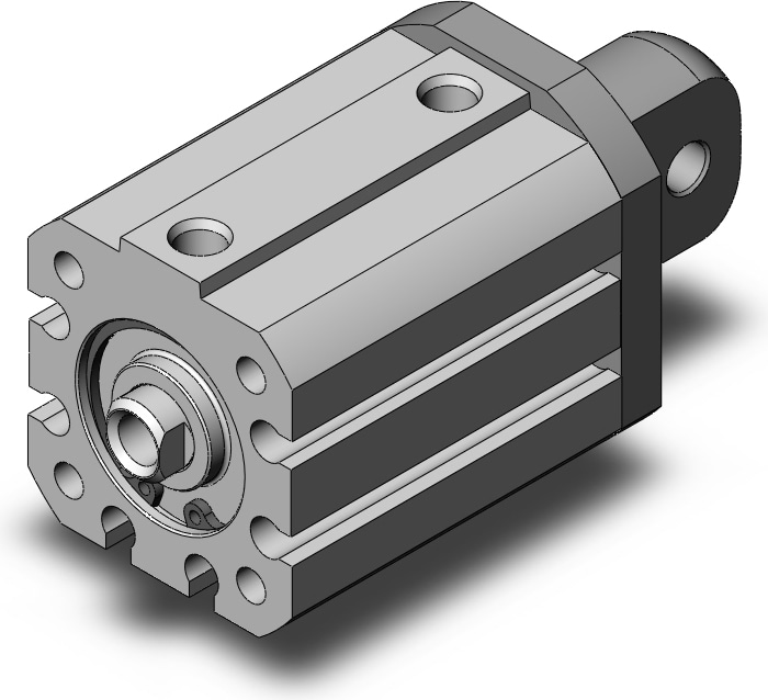 SMC NCQ8C075-100