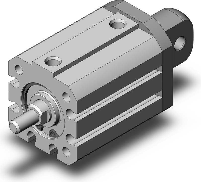 SMC NCQ8C075-100CM