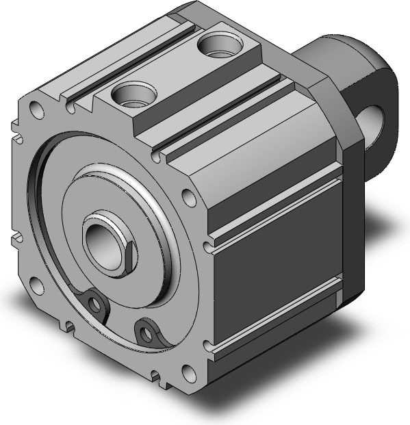 SMC NCQ8C300-100C