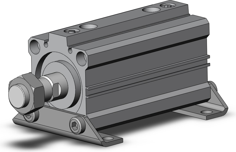 SMC RDQL50-75M-M9BW