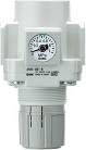 SMC AR30-N03BG-Z-B-X406
